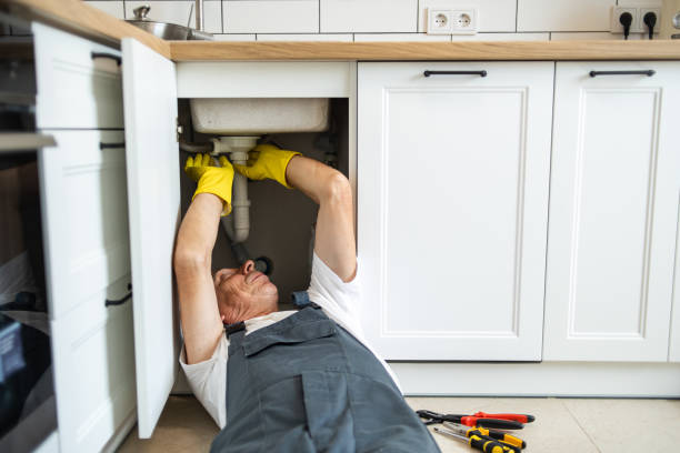 Best Plumbing System Maintenance  in Shelley, ID