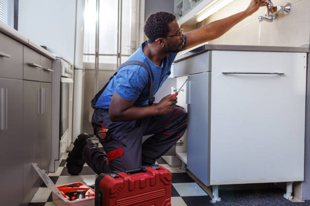 Best Commercial Plumbing Services  in Shelley, ID